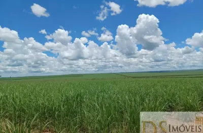 Fazenda em cana a venda na região de adamantina, 274 alqueires, sem benfeitorias
