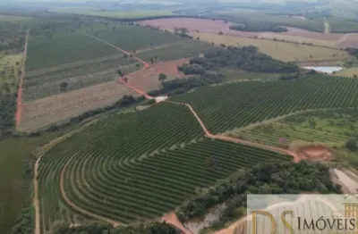 Fazenda de laranja a venda na região de itapetininga-sp, 170 alqueires, com casa sede e casa de caseiro
