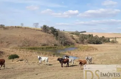 Fazenda a venda em tietê-sp com área total de 81,5 alqueires, boa topografia e próxima ao asfalto