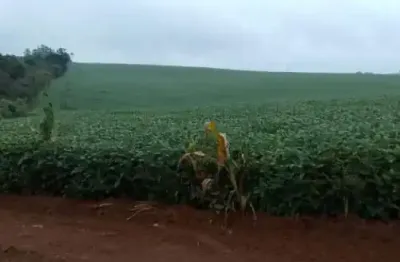 Excelente fazenda de 49 alqueires a venda em itapetininga-sp, terra mista, topografia levemente ondulada, com casa sede, casa de caseiro e barracão