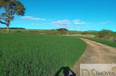 Sítio a venda na região de sorocaba-sp, com 22 alqueires, formardo em lavoura e pasto, topografia plana e semi plana, terra mista e casa com varanda