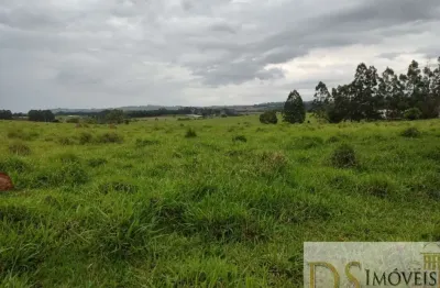 Excelente sítio a venda em itapetininga-sp, com 16,5 alqueires, formada em pasto, boa topografia, solo misto e córrego no fundo