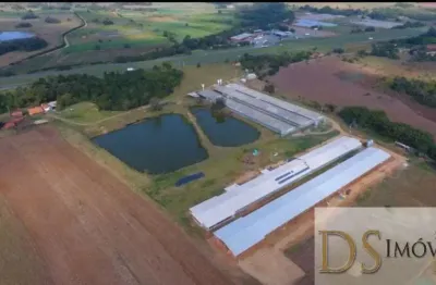 Sítio com granja moderna a venda em cesário lange/sp, área com 8 alqueires, 6 barracões modernos, granjas automáticas e mais