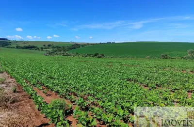 Excelente fazenda com 90 alqueires a venda em piraju-sp, topografia plana a semiplana, terra roxa e boa de água