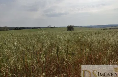 Excelente fazenda a venda em itapetininga-sp, 53 alqueires, aproveitamento de 40 alqueires, com casa sede, casa de caseiro e barracão