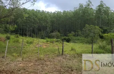 Fazenda com eucalipto na região de guaratinguetá/sp, com área total de 241,88 alqueires, ótima logistica e acesso e saida para bitrem.