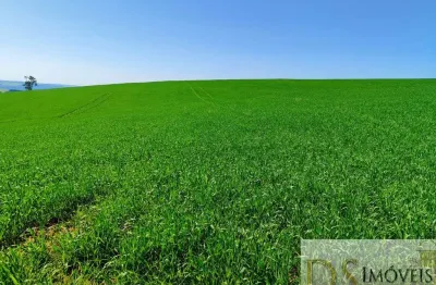 Fazenda a venda em capão bonito/sp, 136 alqueires no total, terra mista a vermelha, açude, nascentes e cachoeira. com benfeitorias e ótima localização