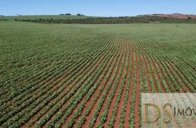 Excelente fazenda a venda em itaí-sp, área total de 50 alqueires,  terra vermelha, topografia plana a semi plana, casa sede e barracão