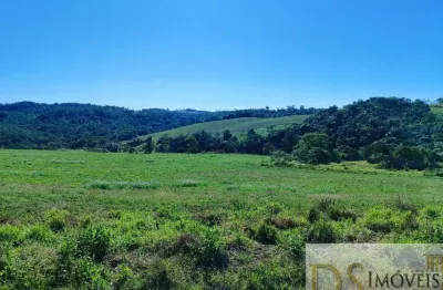 Fazenda a venda na região de itapetininga-sp, formada em lavoura e pasto, área total de 50 alqueires, topografia ondulada e declive sentido água