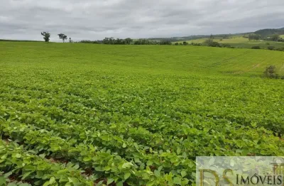 Excelente sítio a venda na região de sorocaba-sp, com área total 20 alqueires, terra mista e topogragia levemente ondulada