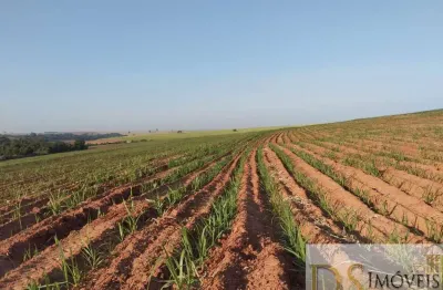 Fazenda em cana a venda na região de lins/sp, com 117 alqueires, sendo 80 alqueires em cana, ótima topografia e boa em água