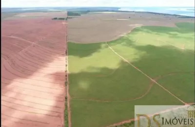 Excelente fazenda com cana as margens do rio paraná no estado de são paulo, com 697,7 alqueires de área total e benfeitorias