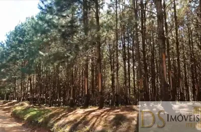 Fazenda à venda na rua doutor armando salles de oliveira 627, 56, centro, são miguel arcanjo por r$ 80.000.000