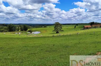 Oportunidade única! fazenda de 39 alqueires em itapetininga-sp com estrutura completa para agricultura e pecuária.