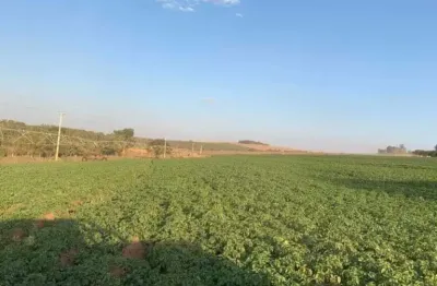 Fazenda à venda na região de casa branca/sp. com 120 alqueires de área total, com cana, pasto e benfeitorias.