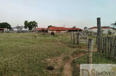 Excelente sítio de 12,7 alqueires em itapetininga/sp: investimento ideal para haras, lavoura ou gado