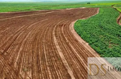 Fazenda de 223 alqueires em presidente epitácio-sp: oportunidade de investimento única!