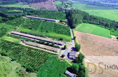 Sítio com granja a venda na região de sorocaba/sp: 6,5 alqueires de área com aviários e ótima logística