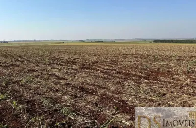 Fazenda de 235 alqueires em bernardino de campos/sp: oportunidade única!