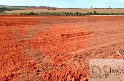 Excelente fazenda em cana à venda em presidente prudente/sp: 1.275 alqueires de oportunidade