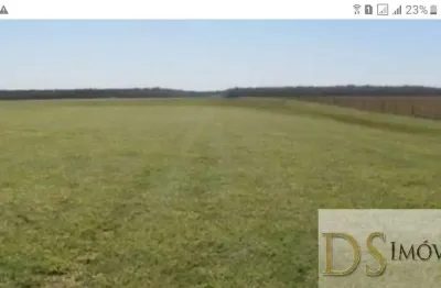 Venha conhecer: fazenda de cana à venda em rancharia/sp - 1.412 alqueires na beira da pista