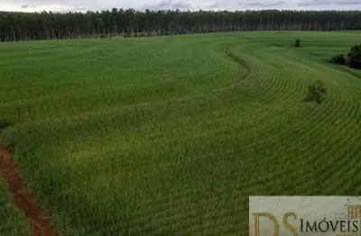 Fazenda de 80 alqueires em tatuí/sp: área em cana, benfeitorias completas e documentação 100% em ordem!