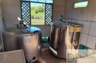 Sítio com leiteira à venda em itapetininga/sp: 31 alqueires, estrutura completa, produção diária de 600 litros de leite. confira!