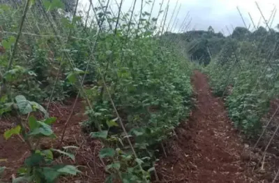 Fazenda de 53 alqueires à venda em guapiara/sp  - oportunidade de negócio imperdível!
