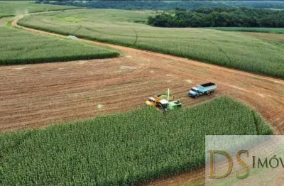 Fazenda leiteira e laticínio de 244,5 alqueires à venda na região de itapetininga/sp - excelente oportunidade!