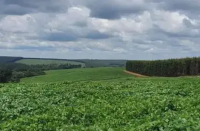 Fazenda com 71 alqueires à venda em bauru-sp: ideal para investimento agropecuário