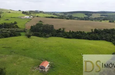 Fazenda de 49 alqueires em itapetininga/sp: oportunidade imperdível!