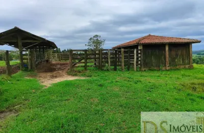 Sítio à venda em itapetininga-sp: 10,34 alqueires de pura qualidade!