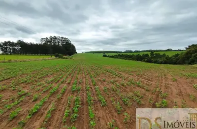 Fazenda à venda na travessa carlos ayres, 55, centro, itapetininga por r$ 15.500.000