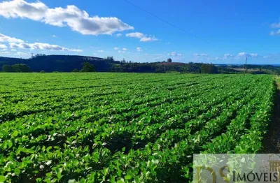 Sítio de 22 alqueires à venda em itapetininga-sp: imperdível oportunidade de investimento!