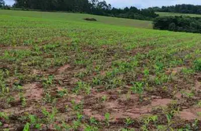 Fazenda de 75 alqueires à venda em são miguel arcanjo/sp - excelente oportunidade de investimento!