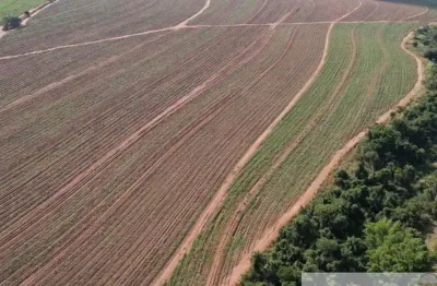 Fazenda com cana de 215 alqueires à venda em araraquara-sp  - excelente oportunidade!