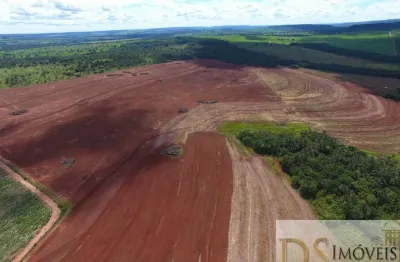 Fazenda de 269,59 hectares à venda em prata-mg - região de uberlândia/mg