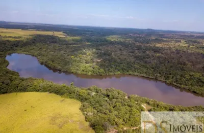 Fazendão à venda em goiatins-to: 7.800 alqueires de oportunidade!
