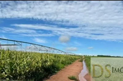 Fazenda de 240 alqueires à venda em avaré/sp: dupla aptidão, irrigação, benfeitorias e logística privilegiada!