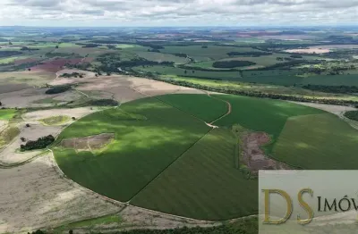 Excelente fazenda à venda em paranapanema/sp ? 205 alqueires, 3 pivôs, área agrícola, rio paranapanema, sede completa e alto potencial produtivo