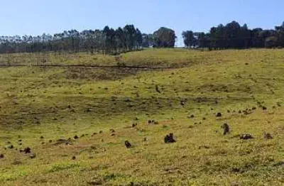 Magnífica fazenda à venda na região de botucatu/sp ? 119,5 alqueires, casa de alto padrão, represas, confinamento e vista panorâmica