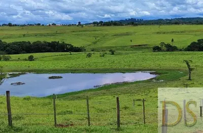Excelente sítio à venda em itapetininga/sp ? 12,19 alqueires, pasto formado, solo vermelho, hidrografia e gado incluso