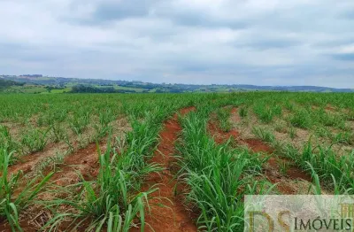 Excelente fazenda à venda em itapetininga/sp ? 42 alqueires, cana própria, solo fértil, hidrografia e ótima localização