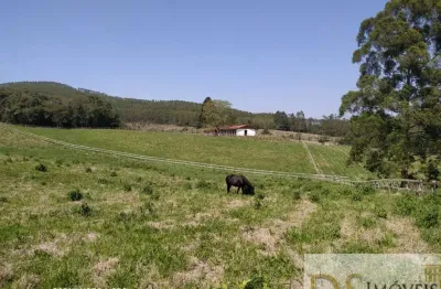 Chácara / sítio com 3 quartos à venda na vila elvio, vila élvio, piedade por r$ 5.000.000