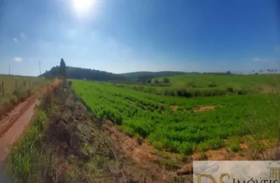 Fazenda à venda na Avaí, Centro, Avaí