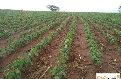 Fazenda à venda na Rua Alagoas, 122, Centro, Avaré