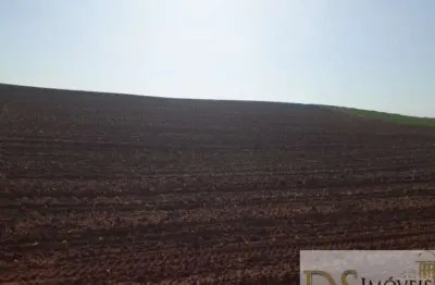 Fazenda à venda na paraguaçu paulista, centro, paraguaçu paulista por r$ 6.000.000