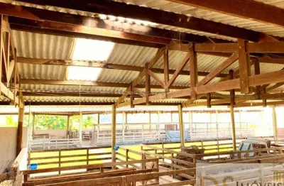 Chácara / sítio à venda na sarapuí, centro, sarapuí por r$ 10.000.000