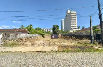 Terreno à venda na Rua Dr. Alfredo Schelemm, 47, Atiradores, Joinville