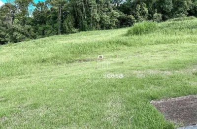 Terreno à venda, 879 m² por r$ 715.000,00 - vila chartres - jaraguá do sul/sc